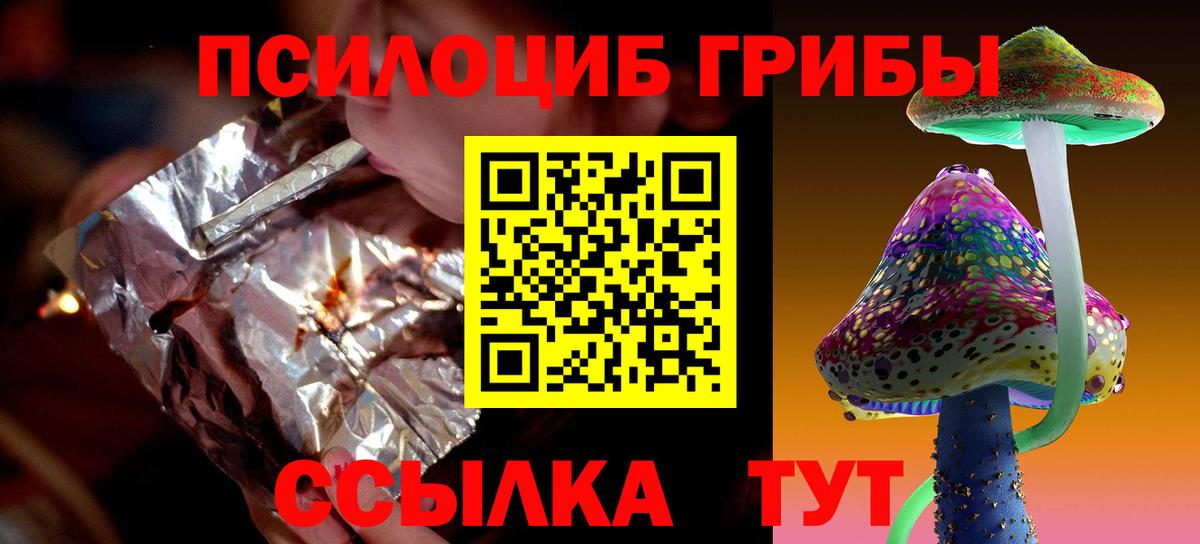 Псилоцибиновые грибы мицелий Зеленодольск