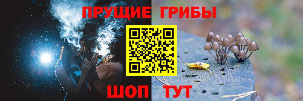 Зеленодольск  Псилоцибиновые грибы Psilocybe  Вход с VPN 